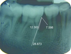 [Table/Fig-3]: