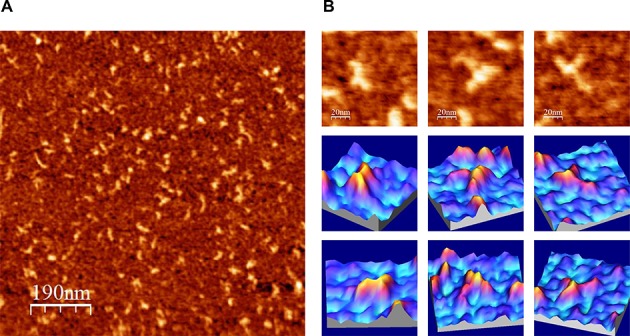 Figure 4.