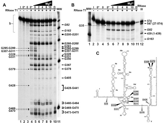 Figure 6.