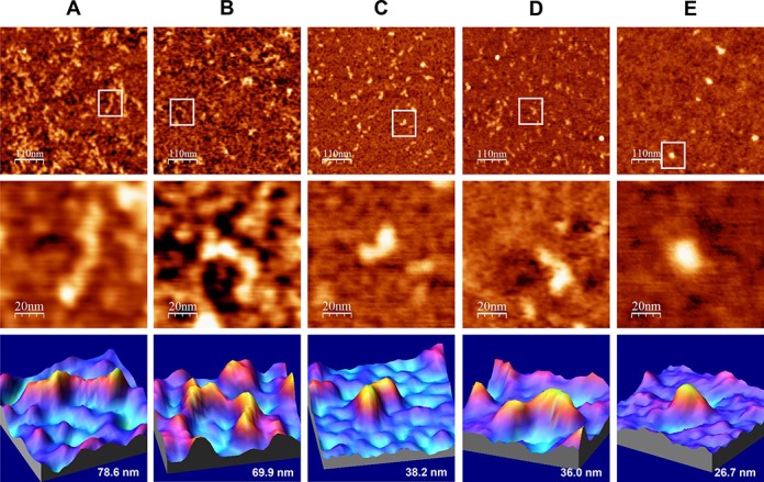 Figure 2.