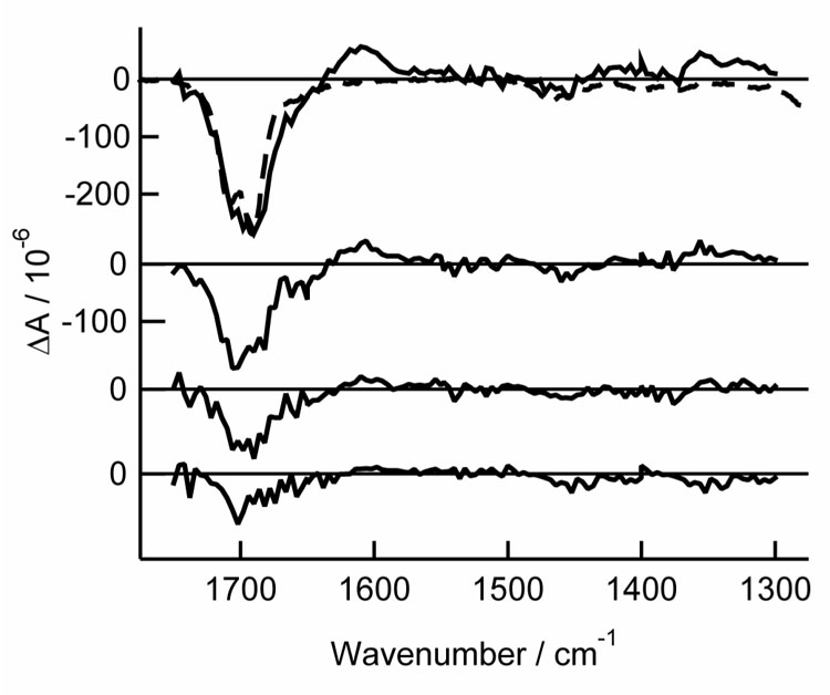 Fig. 3