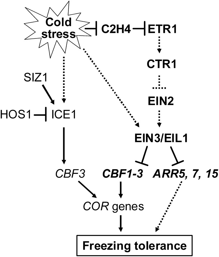 Figure 10.