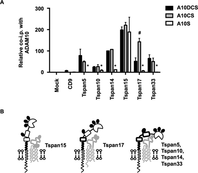 FIGURE 10.