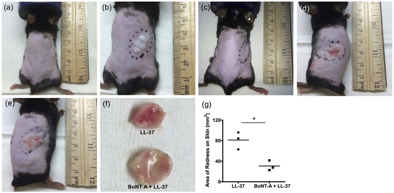 Fig 3.