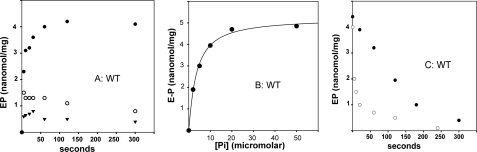 FIGURE 9.