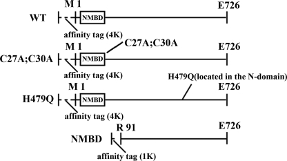 FIGURE 1.