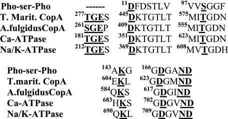 FIGURE 13.