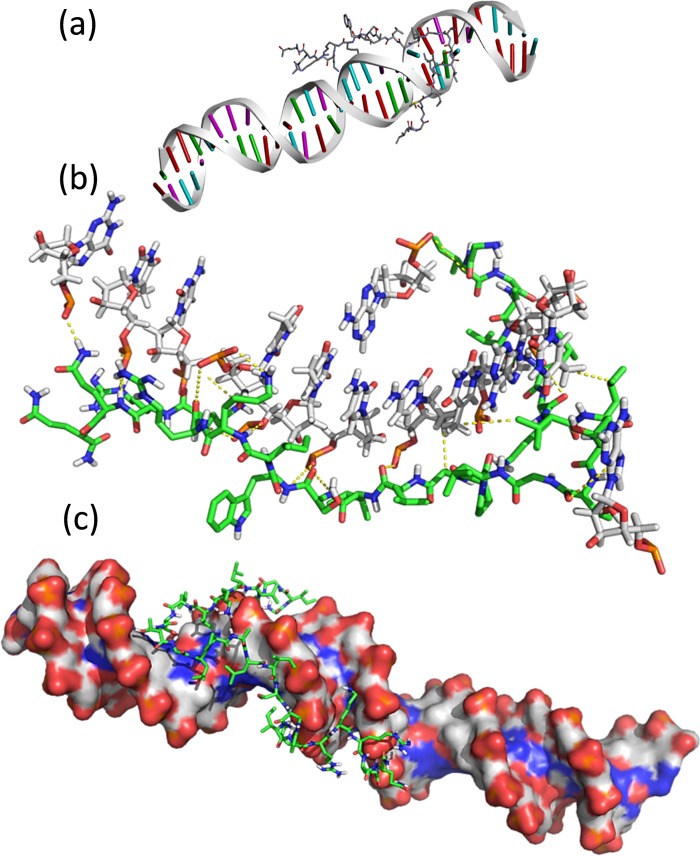 Fig 6