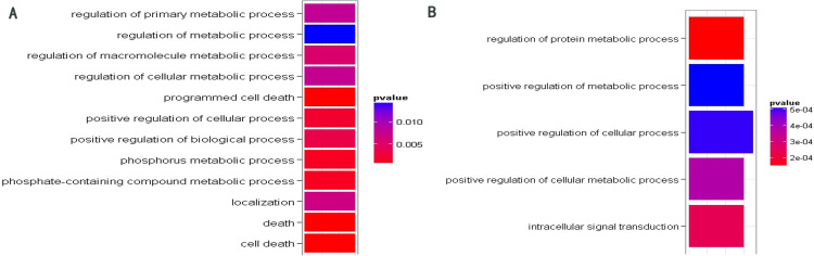 Figure 3.