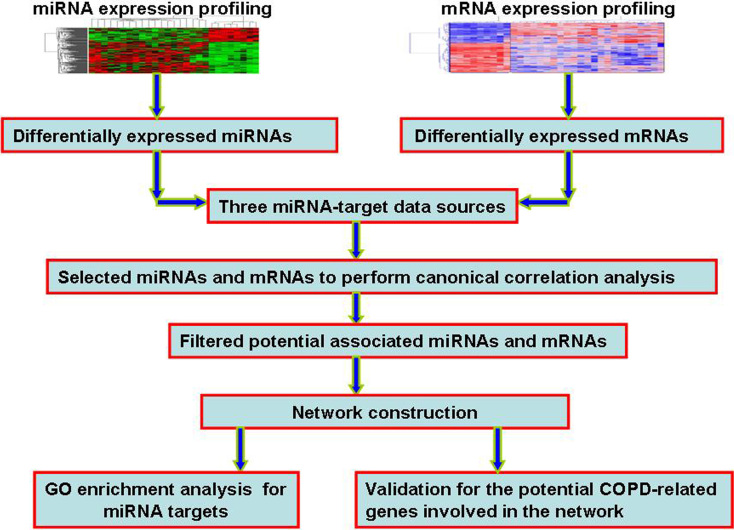 Figure 1.