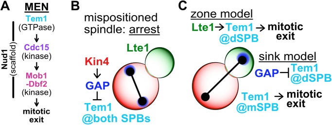 FIGURE 1: