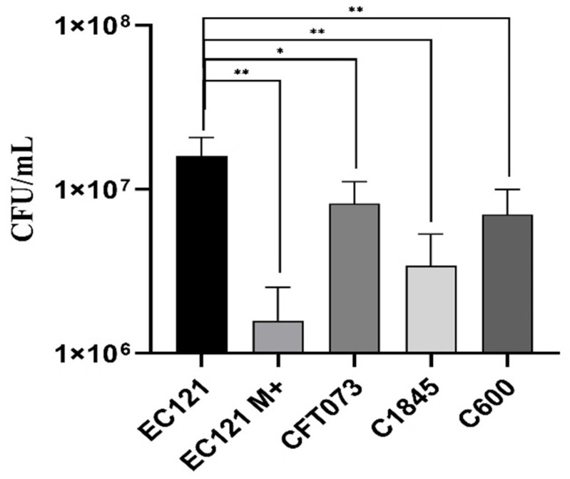 Figure 5