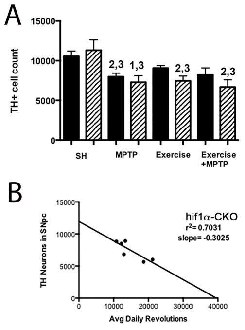 Fig. 11