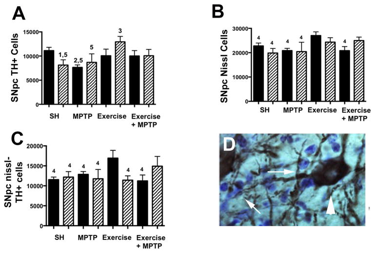 Fig. 12