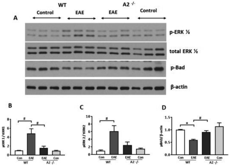 Figure 9: