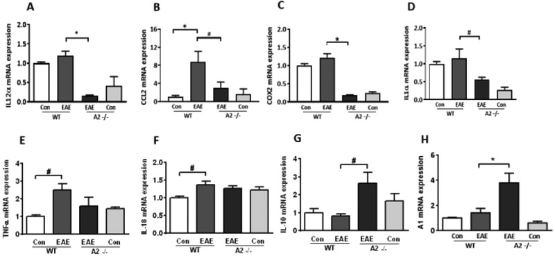 Figure 7: