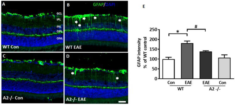 Figure 6: