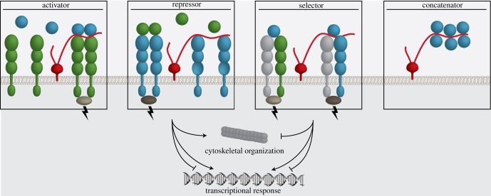 Figure 1.