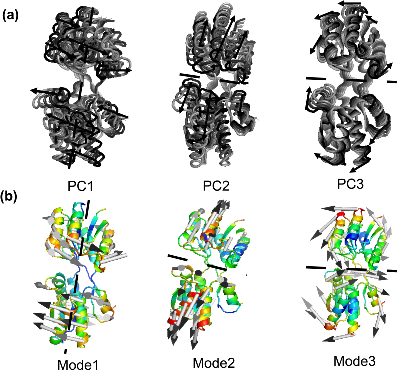 Figure 11.