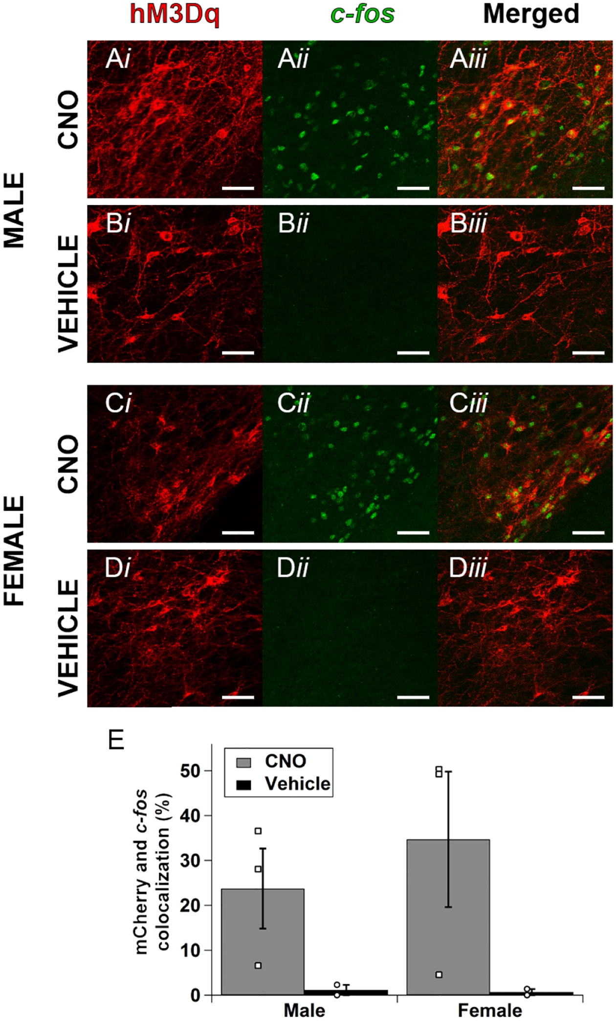 Figure 3: