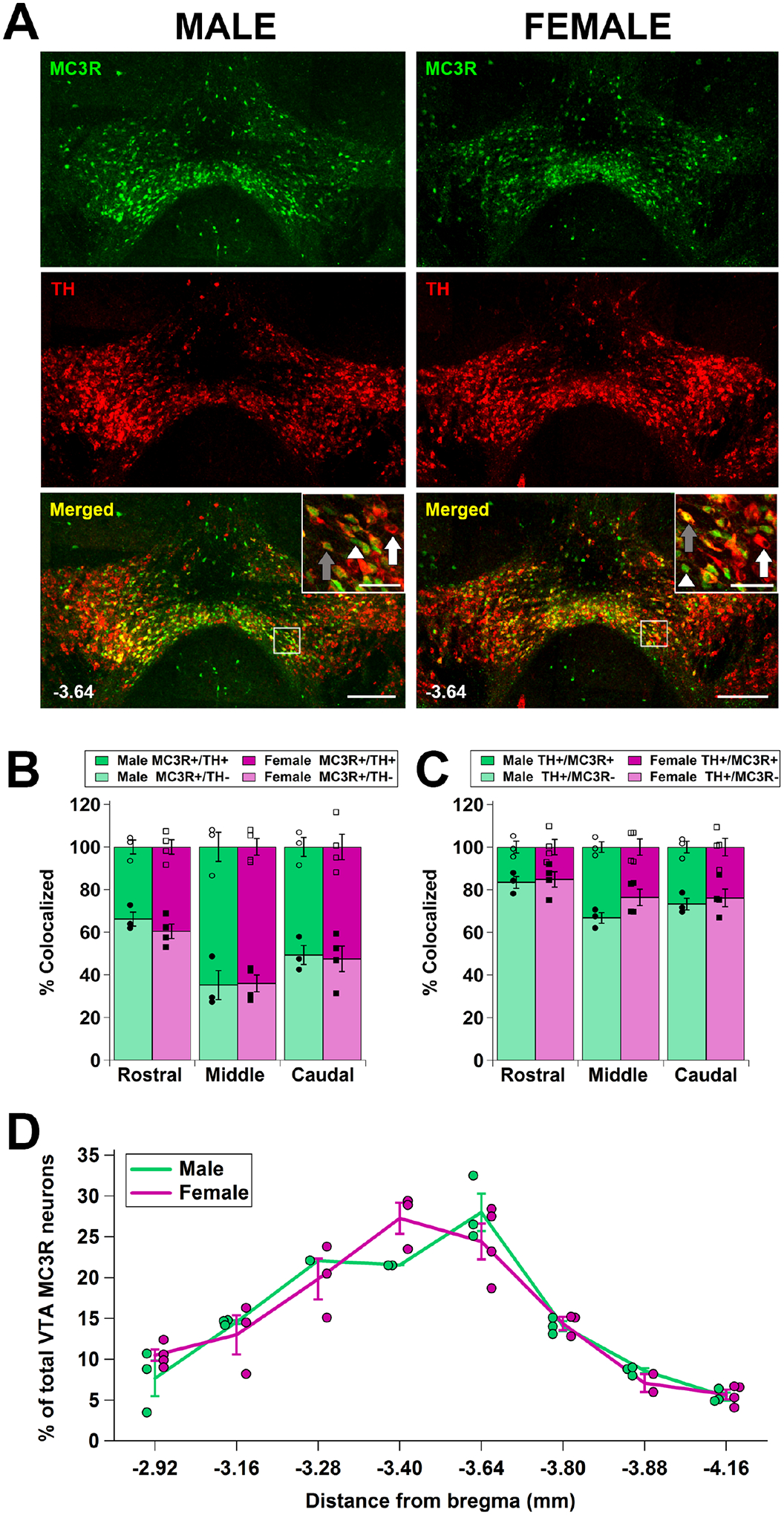 Figure 4: