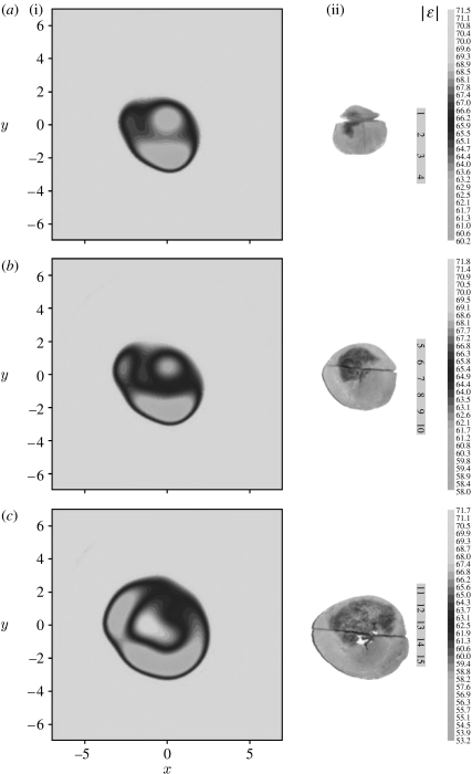 Figure 17