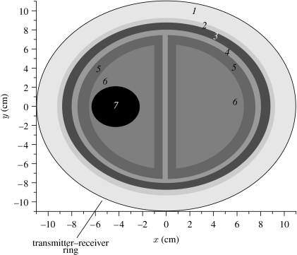 Figure 9