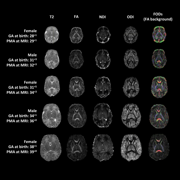 Fig. 3.