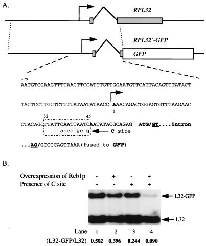 FIG. 6