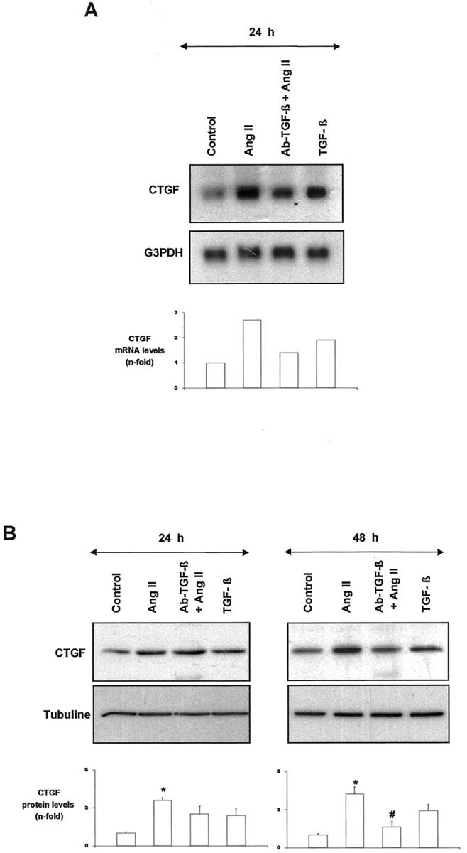 Figure 9.