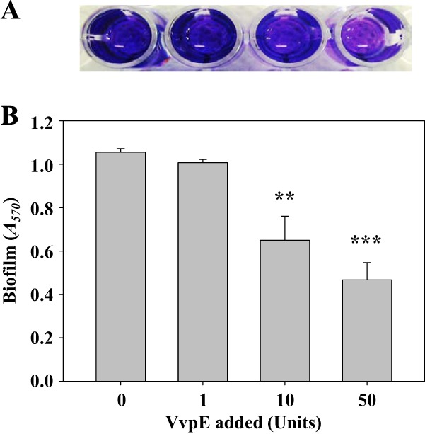 Fig 8