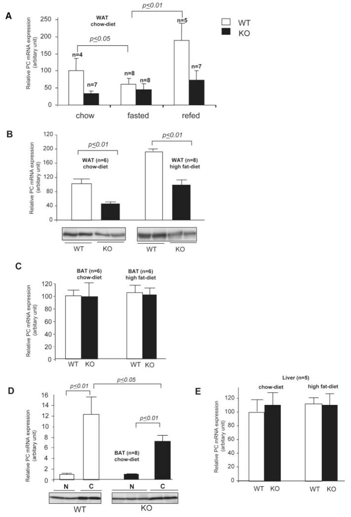 FIG. 8