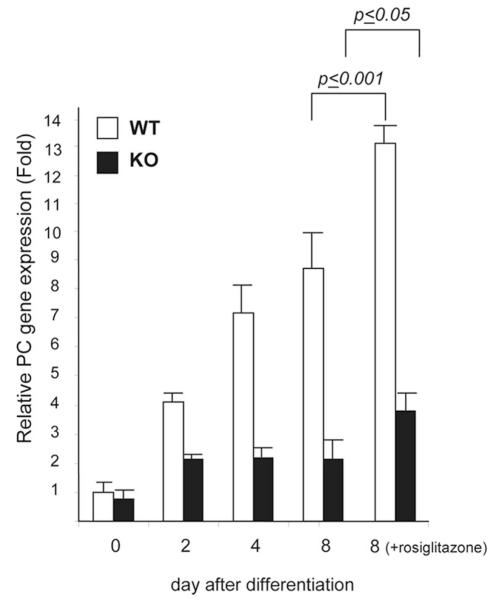 FIG. 9