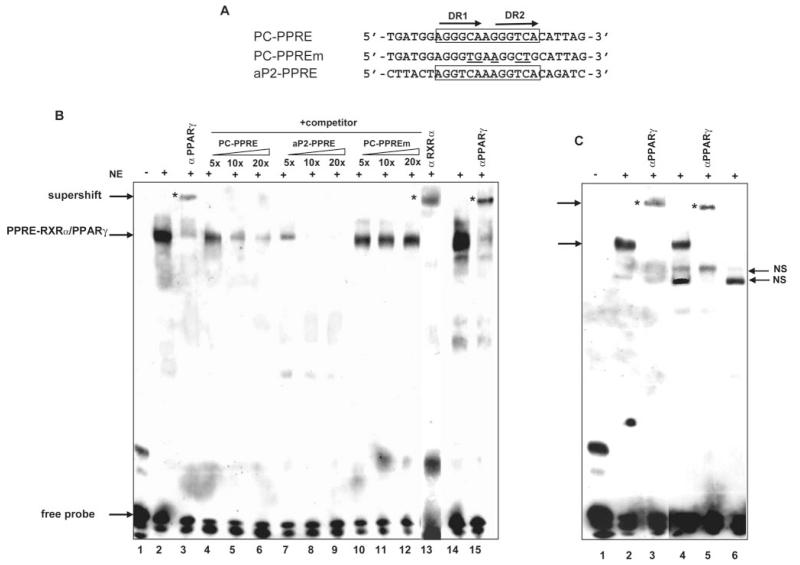 FIG. 6