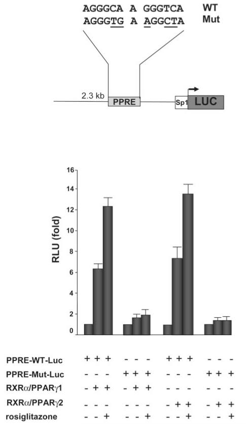 FIG. 5