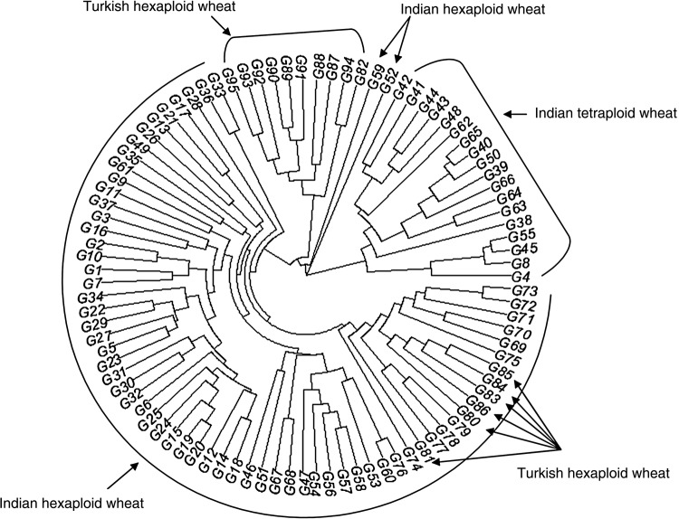 Figure 3.