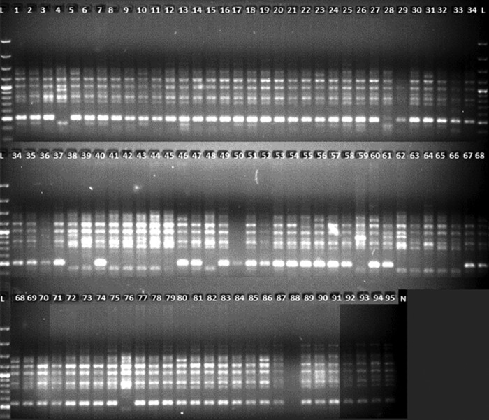 Figure 2.