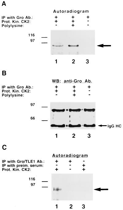 FIG. 6.