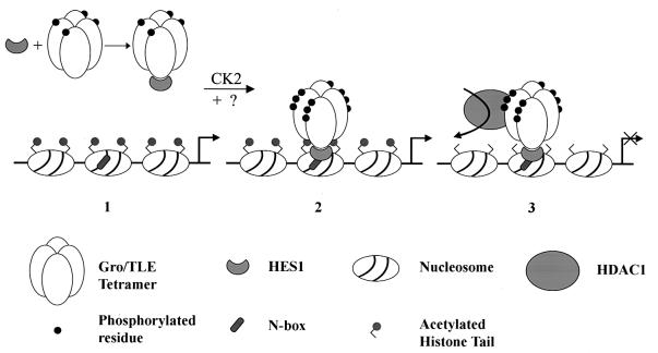 FIG. 8.