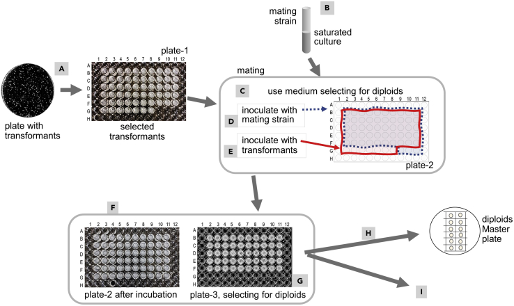 Figure 5