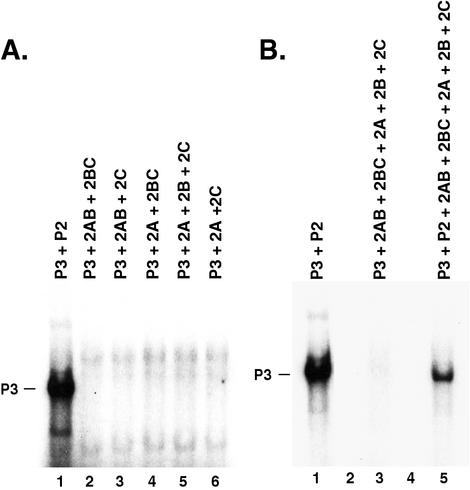 FIG. 5.