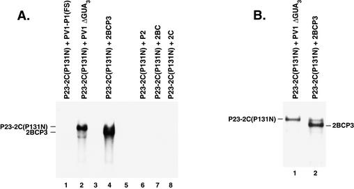 FIG. 7.