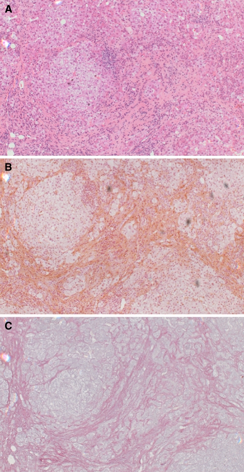 Fig. 1