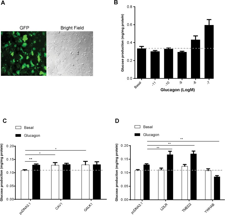 Fig 4