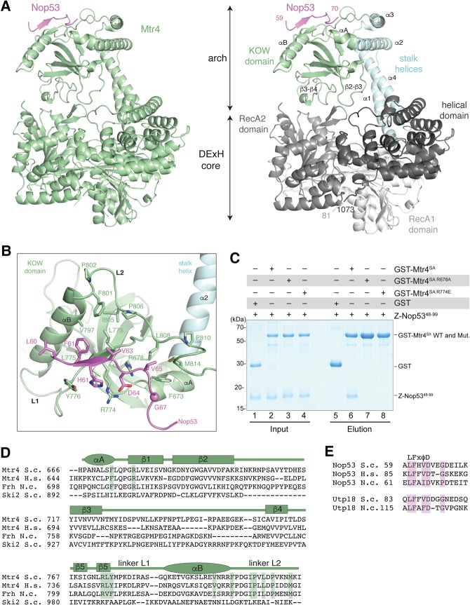 FIGURE 2.