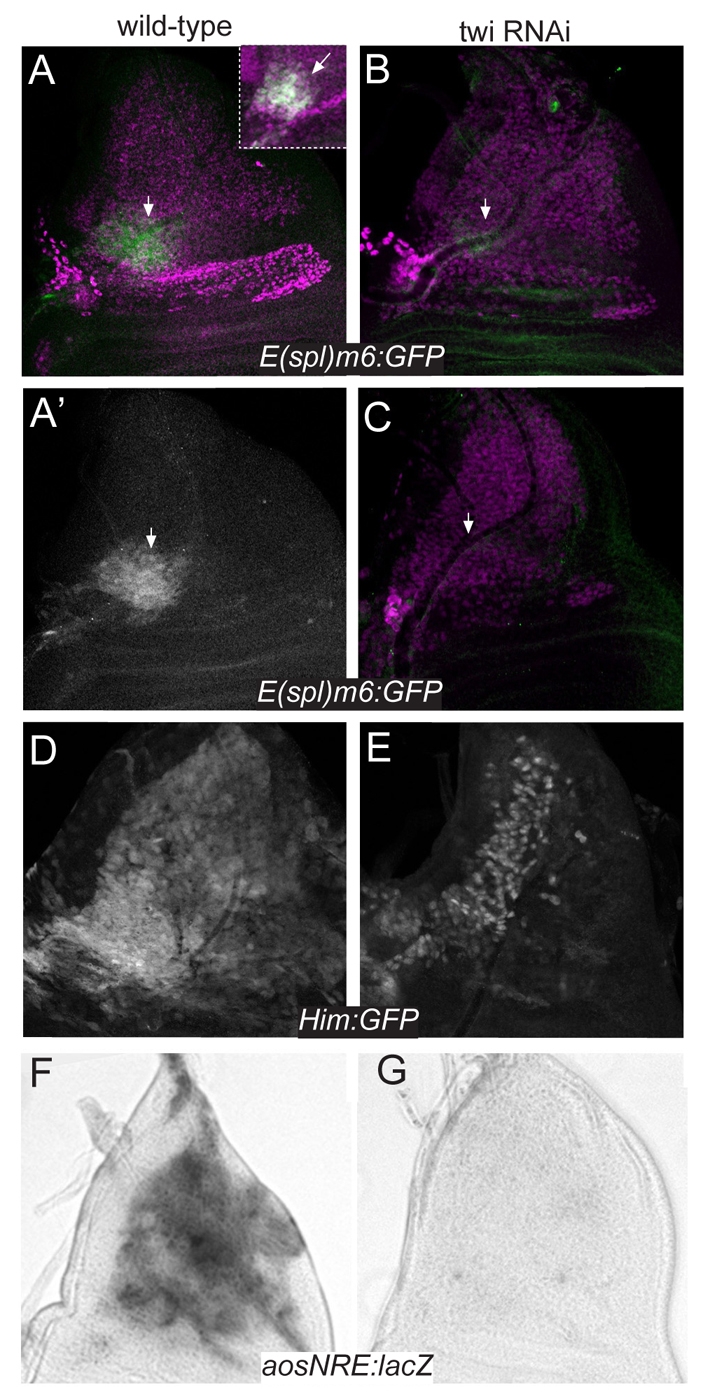 Fig 2.