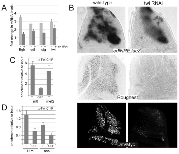 Fig 6.