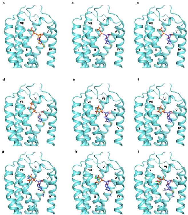 Extended Data Figure 7