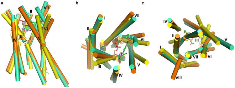 Extended Data Figure 3