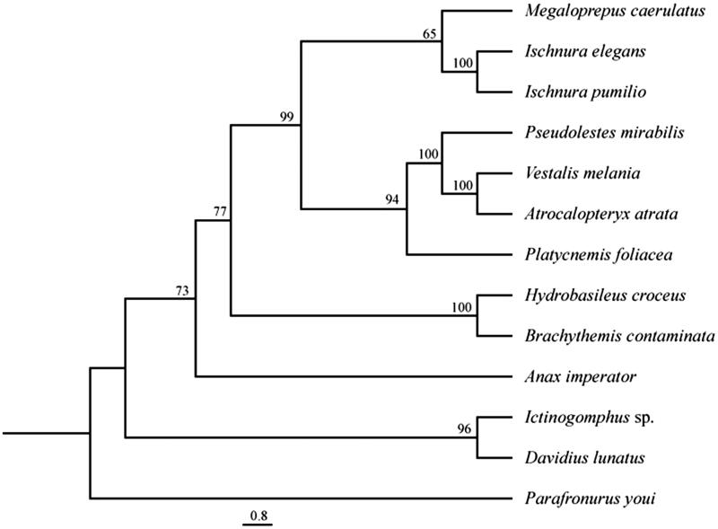 Figure 1.